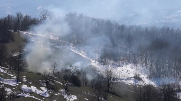 森の近くの火災 大きな煙 — ストック動画