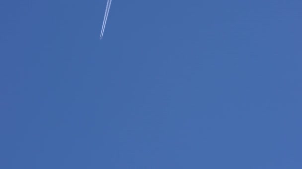 蓝天中的飞机 — 图库视频影像