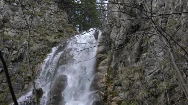 Cascata Pljackovac Montanha Vlasic Bósnia Herzegovina — Vídeo de Stock