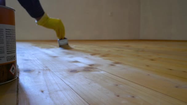 Manual Coating Wooden Floor Colorless Varnish — Stockvideo