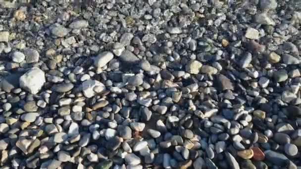 Sea Waves Wash Sandy Beach Adriatic Herceg Novi Montenegro — Stock video