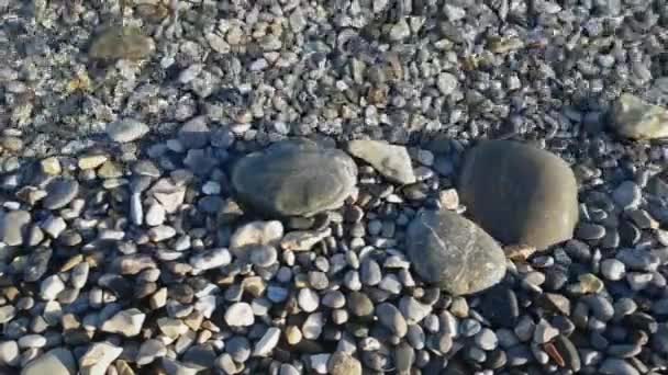 Sea Waves Wash Sandy Beach Adriatic Herceg Novi Montenegro — Vídeos de Stock