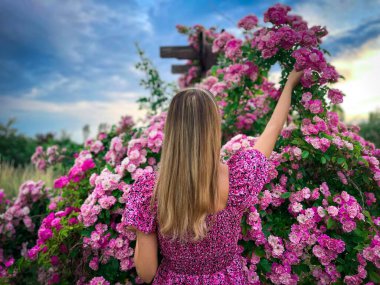 Arka tarafta uzun sarı saçlı genç bir kadın var. Bahçeden pembe güller alıyor.