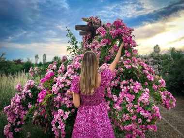 Arka tarafta uzun sarı saçlı genç bir kadın var. Bahçeden pembe güller alıyor.