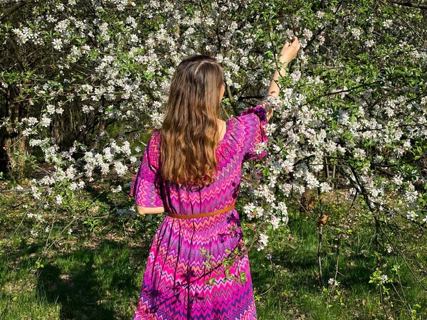 Женщина Розовом Платье Собирает Цветы Дерева — стоковое фото