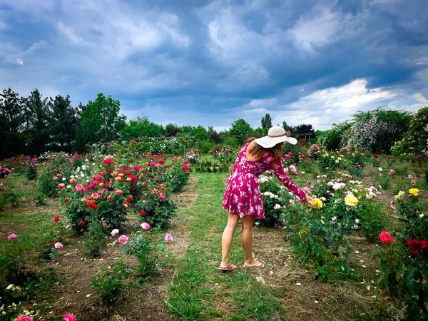 Jeune Femme Robe Chapeau Dans Jardin Plein Roses Colorées — Photo