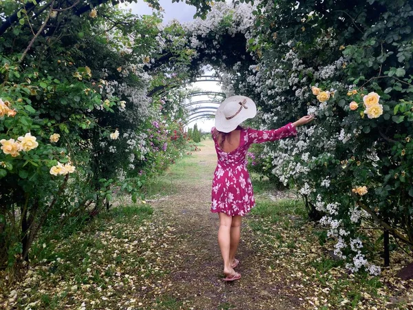 Young Woman Wearing Dress Hat Garden Full Colorful Roses — Fotografia de Stock