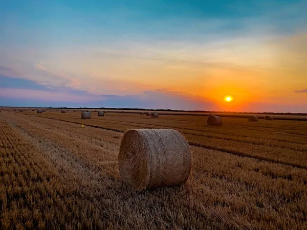 Bales Hay Field Sunset — Stock Photo, Image