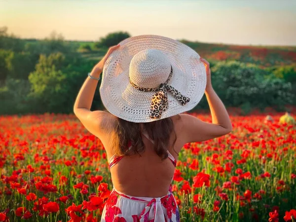 Woman Wearing Summer Dress Hat Field Poppies Golden Hour — Stockfoto