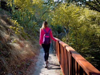 Sonbaharda ormanda sırt çantalı bir kadın yürüyüş yapıyor.
