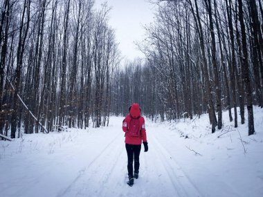 Rear view of young woman with backpack and red hooded coat walking through a forest covered in snow