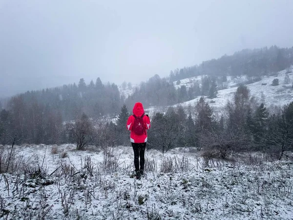 Rear View Woman Red Coat Backpack Hiking Alone Mountains Winter Imagen de archivo