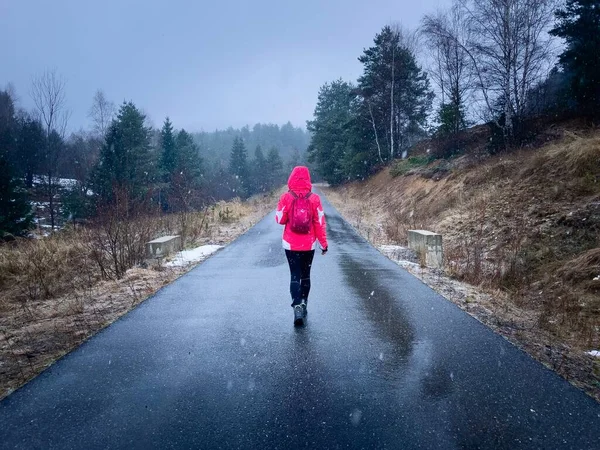Rear View Woman Hiker Walking Empty Road Forest Snowstorm 免版税图库图片
