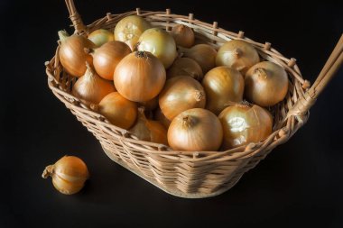 Siyah arka planda hasır sepette olgun altın soğan. Sepetin yanında bir soğan. Hasat konsepti