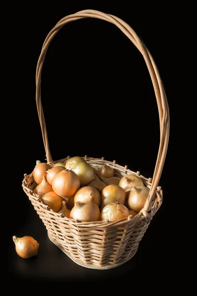 Ripe Golden Onion Wicker Basket Black Background One Onion Basket — Stock Photo, Image