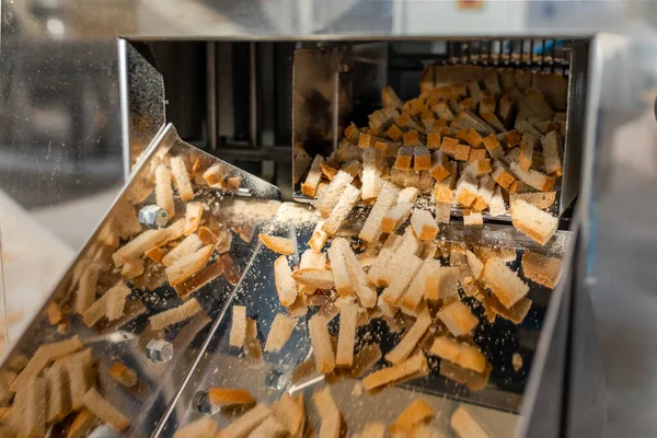 Croutons Conveyor Automated Line Production Rusks Bread Conveyor Line Machine — Stock Photo, Image