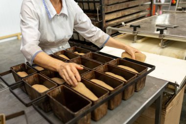 Fırıncı bir fırın kabını hamurla doldurur. Küçük bir pastanede ekmek üretim sahnesi