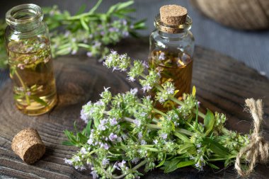 Cam şişelerde kekik yağı ve koyu ahşap arka planda kekik. Aroma yağı hazırlığı. Alternatif tıp konsepti