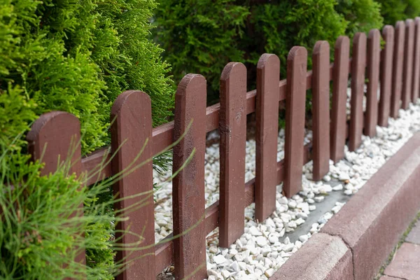 Decorative Low Brown Fence Sidewalk Green Thuja Fence Selective Focus — Stock Photo, Image