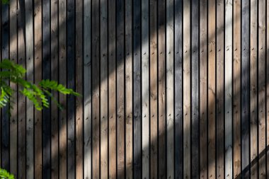 Arkaplan, köşegen doğal ışıklandırma ile farklı tonlarda kahverengi panolardan yapılmıştır. Ön planda akasya dalı bulanık