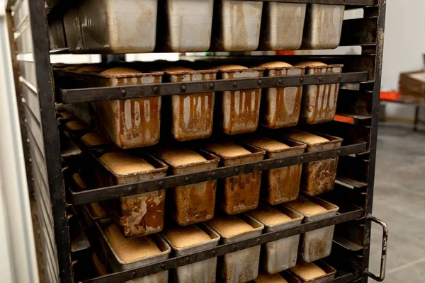 Fresh Bread Mobile Rack Shelves Metal Racks Freshly Baked Loaves — Stock Photo, Image