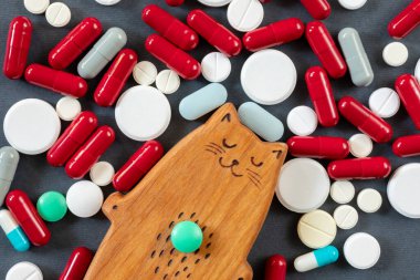 Pek çok hapın, hapın ve vitaminin arka planında bulunan tahta bir kedi yavrusu. Hayvanın midesinde yeşil bir hap var. Veteriner tıbbı, hayvan tedavisi konsepti
