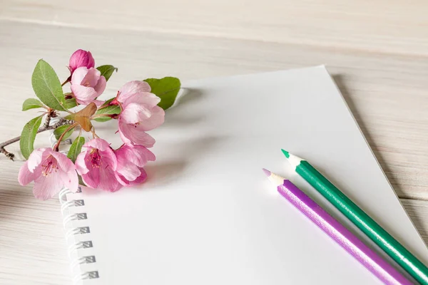 Branch Blooming Apple Tree Clean Notebook Notes Colored Pencils Wooden — Stock Photo, Image
