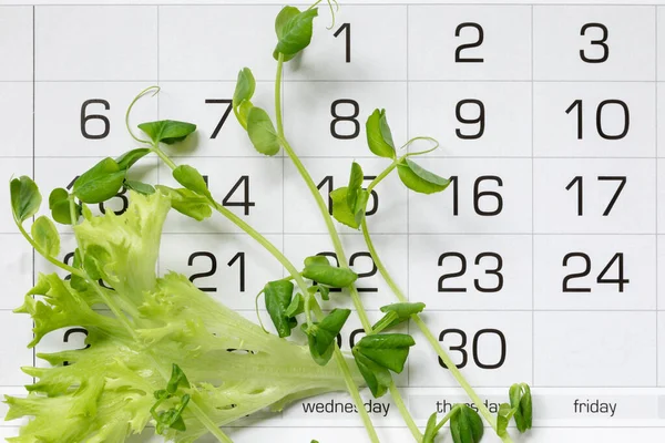 Micro Greens Peas Fresh Lettuce Leaf Calendar Concept Starting Diet 图库照片