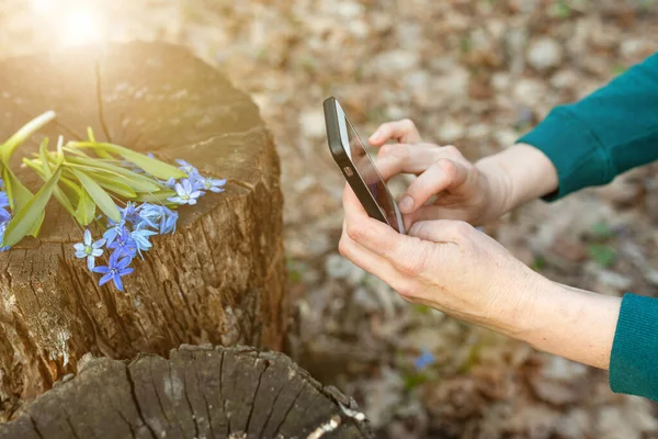Instagram Photographer Blogging Concept Hands Holding Phone Taking Photo Bouquet — Stock Photo, Image