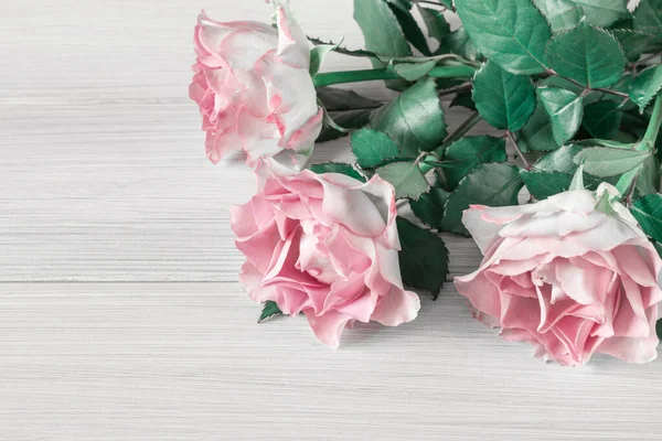 Hree Fresh Beautiful Roses Light Wooden Background Design Greeting Card — Stock Photo, Image