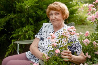 Yaşlı bir Kafkasyalı kadın kendi bahçesinde bir gül çalısının yanında dinleniyor. Kameraya bakıyorum. Yaşlıların hayatı..
