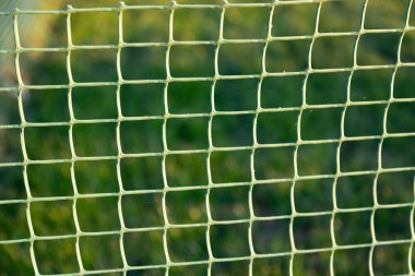 yumuşak plastik ağ günbatımında yeşil çimenleri korur