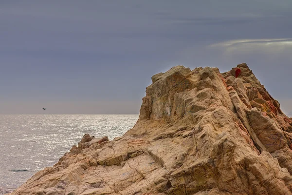 Felsen im Meer — Stockfoto