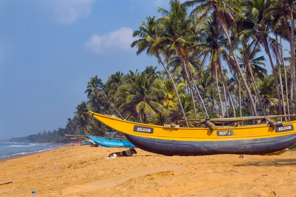Sri Lanka, Wadduwa Stok Resim