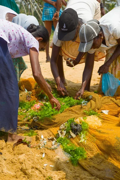 Balık tutma, sri lanka
