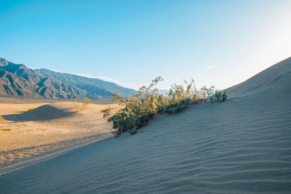 Zandduinen Landschap Death Valley National Park Californië — Stockfoto