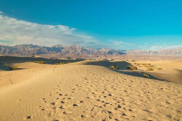 Death Valley Nationaal Park Mesquite Zandduinen Bergen — Stockfoto