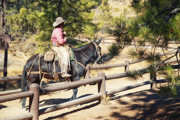 Bryce Canyon Utah Eua Outubro 2020 Bryce Canyon Passeio Cavalo — Fotografia de Stock