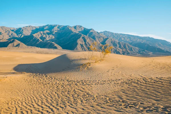 Death Valley National Park Duinen — Stockfoto