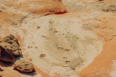 Yağmur mevsiminden sonra çölde yürüyüş yolunda çamur.