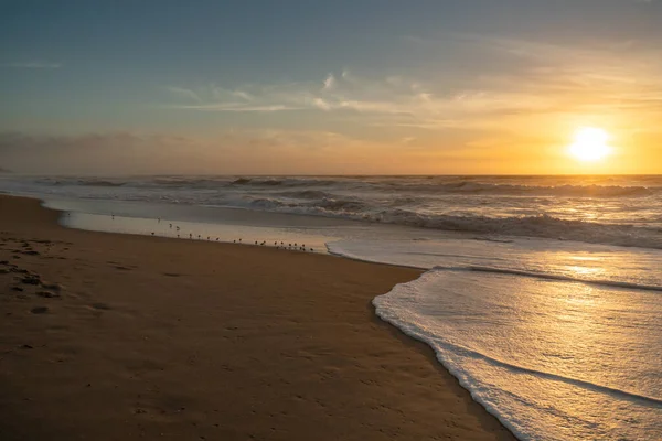 ビーチでの夕日とオーバー鳥のシルエット 美しい太陽の反射と砂浜と海の波 — ストック写真