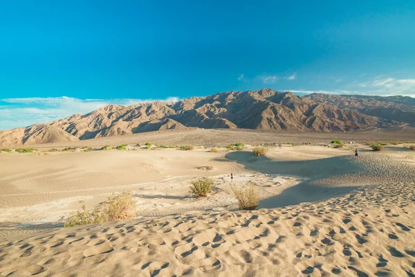 Death Valley California Usa April 2021 Mesquite Sand Dunes Vista — Stock Photo, Image