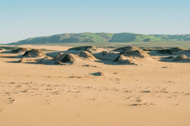 Kumsaldaki kum tepeleri, yeşil tepeler ve açık mavi gökyüzü. Huzurlu manzara, kopyalama alanı, California