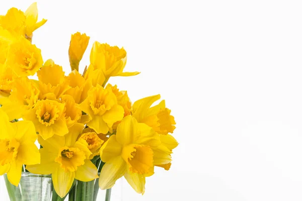 Hromada Květin Bílém Pozadí Daffodils White Copy Space Text — Stock fotografie