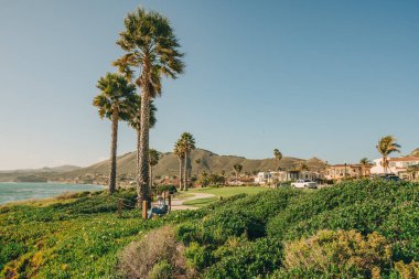 Pismo Beach, California, ABD - 21 Şubat 2022. Bahçesi güzel manzaralı güzel evler ve Kaliforniya 'da küçük bir sahil kasabasında arka planda açık mavi gökyüzü..