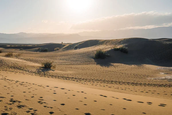 Dunes Sable Dans Désert Dunes Sable Plat Mesquite Dans Parc — Photo