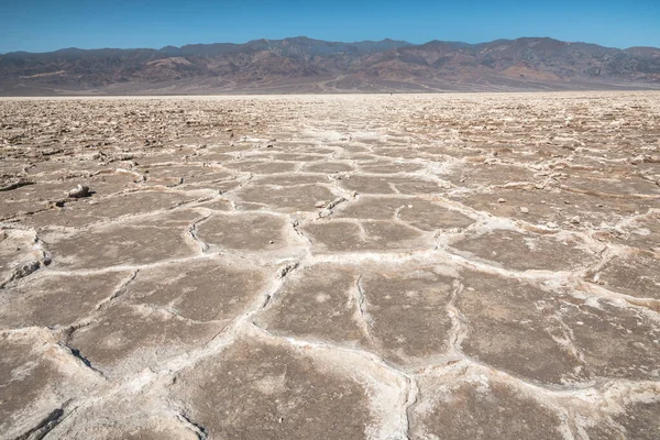 Salt flats in Badwater Basin cover nearly 200 square miles, among the largest protected salt flats in the world.  Death Valley National Park, California