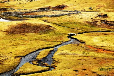 cordiliera yükseltisidir