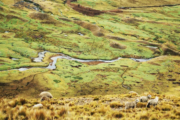 Quebrada Caliente — Stockfoto