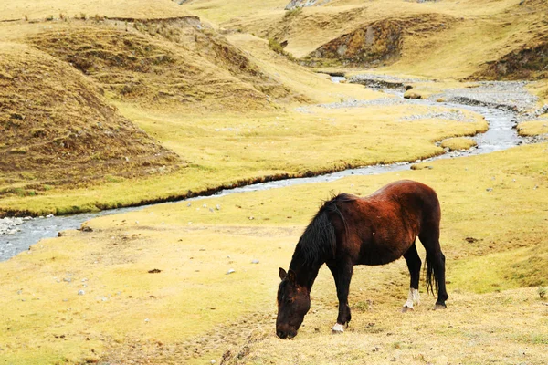 Quebrada Caliente — Stockfoto